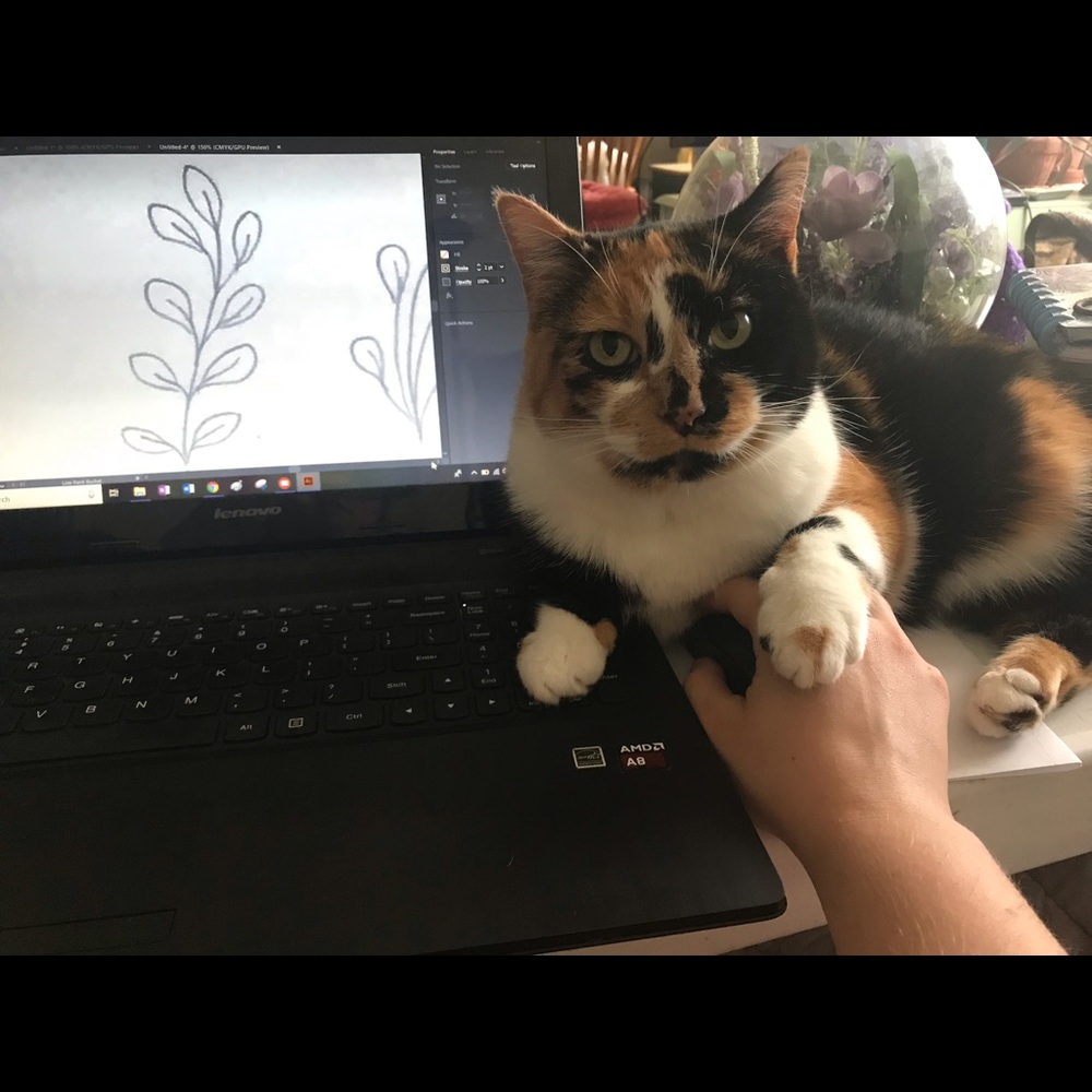 Meet your Posher, Lily